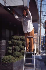 LEIFHEIT�R���t�H�[�g�g�p��